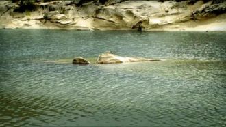 Episode 5 The Bridge Over the River Zzzzzeee