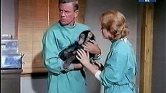Episode 8 The Chimp Who Went Ape