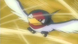 Episode 40 That's Just Swellow