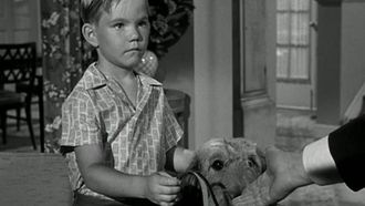 Episode 14 Hazel's Dog Days