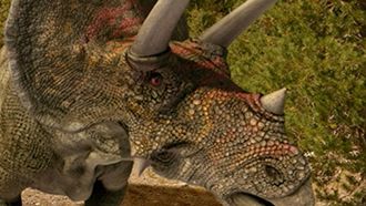 Episode 1 T. rex vs. Triceratops