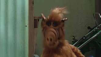 Episode 15 We're So Sorry, Uncle Albert