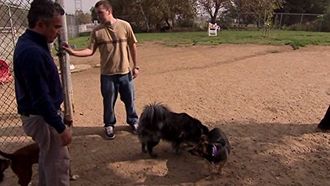 Episode 19 Sasha and Angler