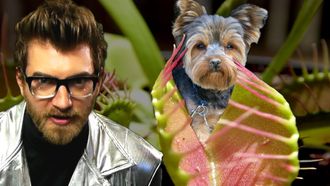 Episode 3 Dog-Eating Plants