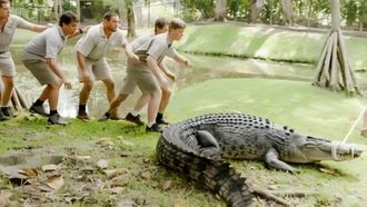 Episode 5 Crocodile Love Story