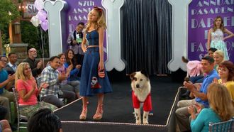 Episode 9 Dog on a Catwalk