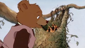 Episode 18 Mother Bear's Robin