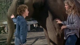 Episode 5 Claws