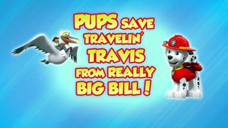 Episode 45 Pups Save Travelin' Travis from Really Big Bill!