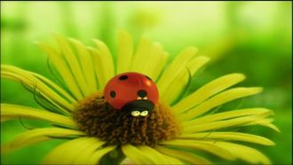 Episode 1 The Ladybug