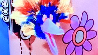 Episode 8 Banana Splits Show # 8/Isle of Treachery/The Pirate Adventure/Danger Island 15/Danger Island 16
