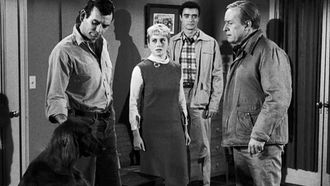 Episode 20 Bloodline