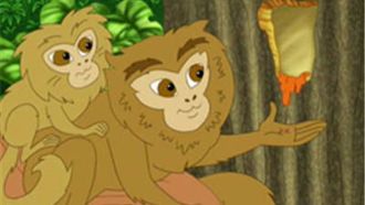 Episode 11 A Booboo on the Pygmy Marmoset
