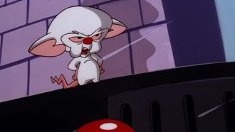 Episode 49 The Pinky P.O.V.