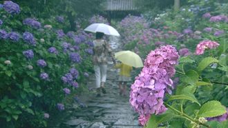 Episode 1 Rain