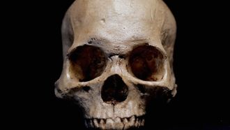 Episode 3 Empire and Epidemics