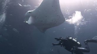 Episode 18 Secrets of the Deep