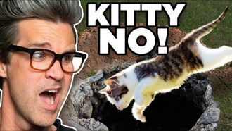Episode 54 Animals Who Tried But Failed (Guessing Game)