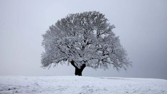 Episode 1 Winter