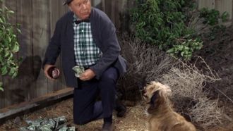 Episode 26 The Windfall