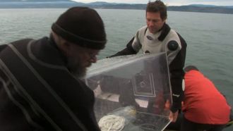 Episode 1 The Kraken