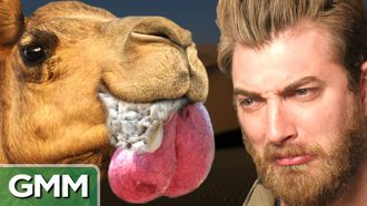 Episode 21 Bizarre Mating Rituals (GAME)