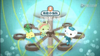 Episode 14 The Lion's Mane Jellyfish