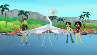 Episode 2 Mystery of the Flamingos Pink