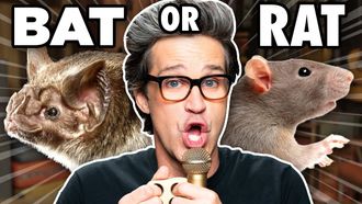 Episode 9 Make These Sounds With Just Your Mouth (Guessing Game)