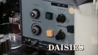 Episode 10 Daisies
