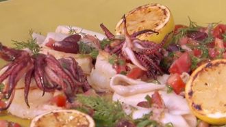 Episode 3 Greek Barbecue ... Opa!