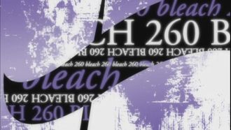 Episode 260 Conclusion!? Hisagi vs. Kazeshini