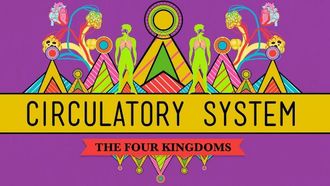 Episode 27 Circulatory System