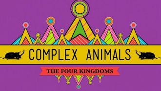 Episode 23 Complex Animals