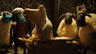 Episode 16 The Pelican