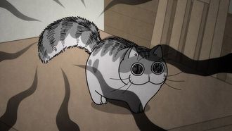 Episode 26 Night 26: The Puffed Tail Is Distracting