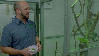 Episode 1 All Iguana Do
