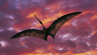 Episode 4 Giant of the Skies