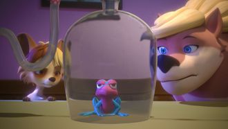 Episode 3 The Frog of Truth