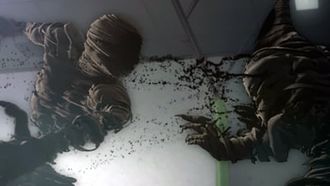 Episode 4 Have You Ever Seen a Black Ghost?