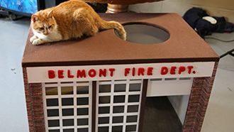Episode 9 Bully Cat