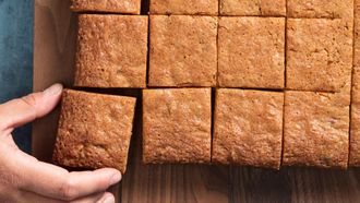 Episode 21 Pork Chops and Blondies