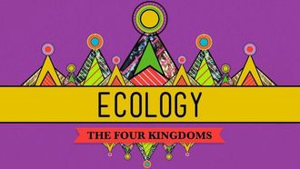 Episode 40 Ecology