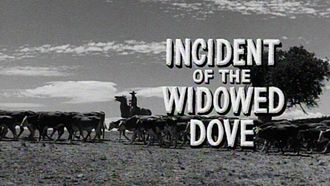 Episode 4 Incident of the Widowed Dove