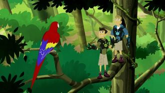 Episode 12 Parrot Power