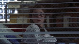 Episode 17 From Here to Paternity