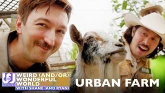 Episode 5 Shane and Ryan Become Urban Farmers