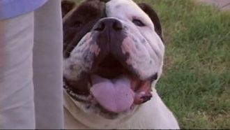 Episode 20 Cesar's Toughest Cases