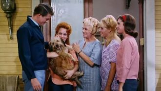 Episode 16 His Highness the Dog