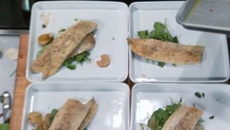 Episode 5 Pride on the Plate